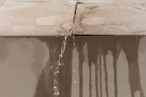 Professional Structural Drying technician working in Fingal, ND